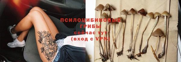 a pvp Абаза